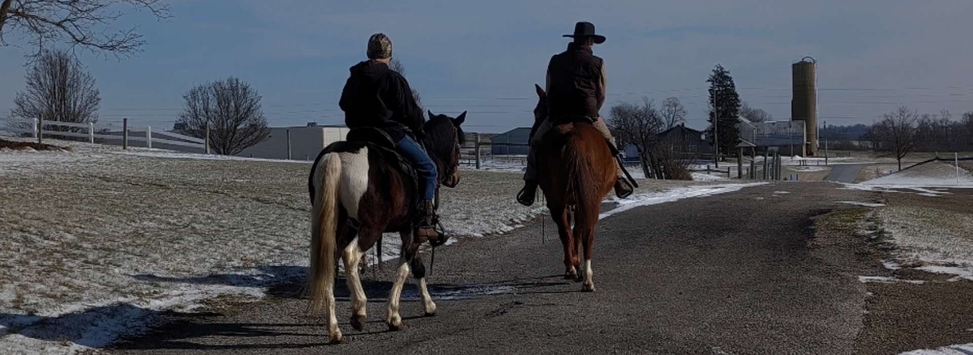 About Skyline Puppies LLC About Skyline Puppies LLC