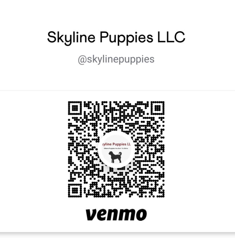 Pay with Venmo